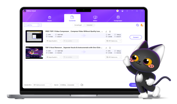 hitpaw video converter